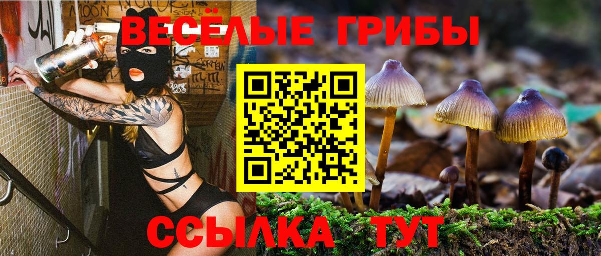 Звенигород  Псилоцибиновые грибы Cubensis  Псилоцибиновые грибы MAGIC MUSHROOMS  Вход с VPN 
