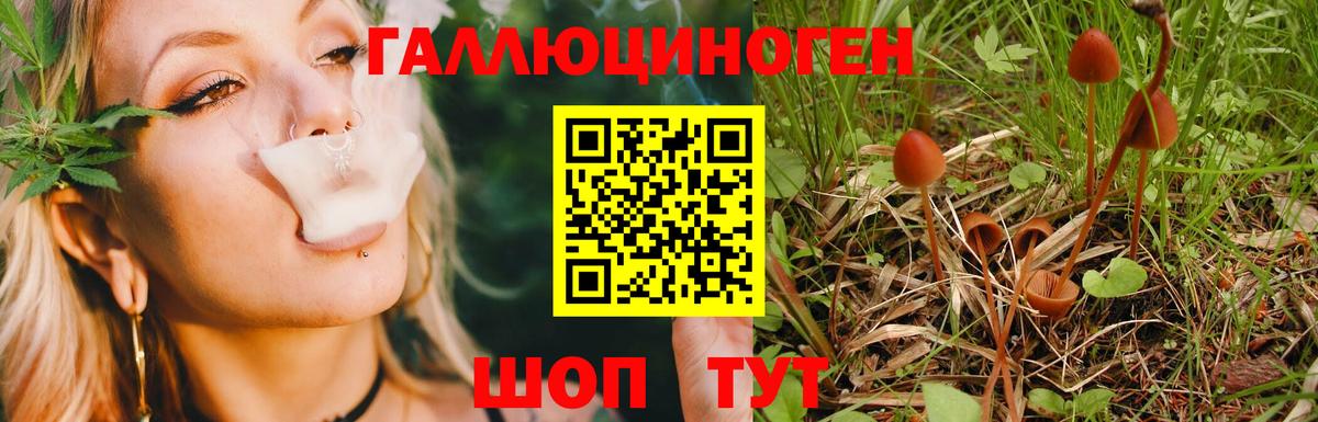 Псилоцибиновые грибы MAGIC MUSHROOMS Звенигород